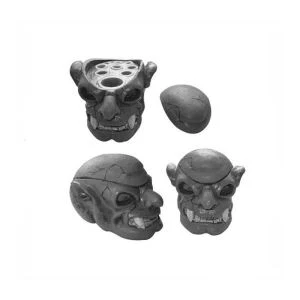 Skull Head Tattoo Ink Cup Holder